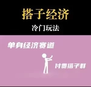靠搭子经济月入5万每天两小时简单无脑好上手-星网科技 Grdy.cn