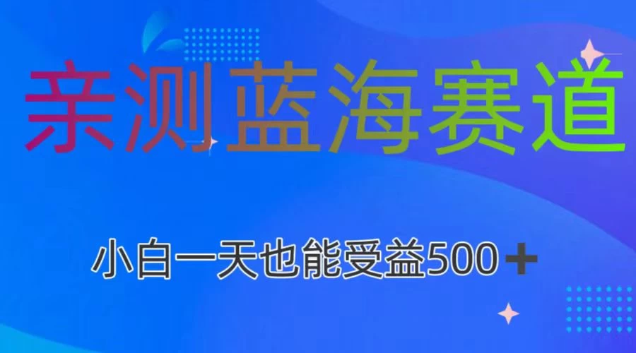 亲测蓝海赛道，利用AI创作，小白一天收益500+-星网科技 Grdy.cn