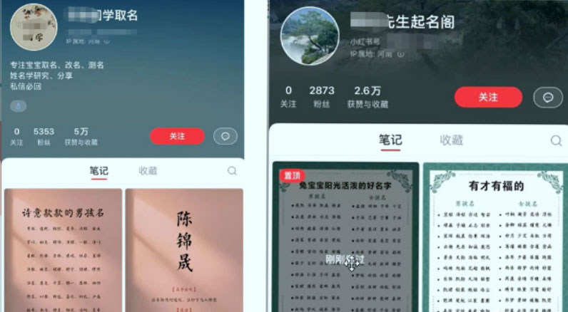 冷门暴利项目：给宝宝起名 一单 200+「教程+工具」-星网科技 Grdy.cn
