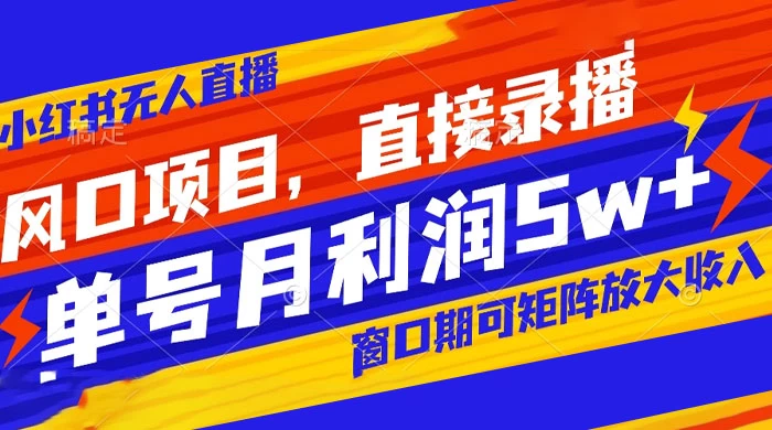 风口项目，小红书无人直播带货，直接录播，可矩阵，月入 5w+-星网科技 Grdy.cn