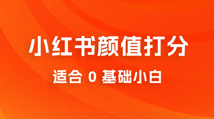 小红书颜值打分项目：一条作品最高收入 1000+-星网科技 Grdy.cn