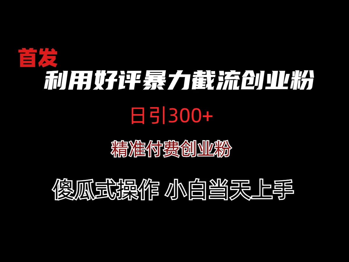 利用好评暴力截流付费创业粉，无需工具，简单且暴力的一个玩法-星网科技 Grdy.cn