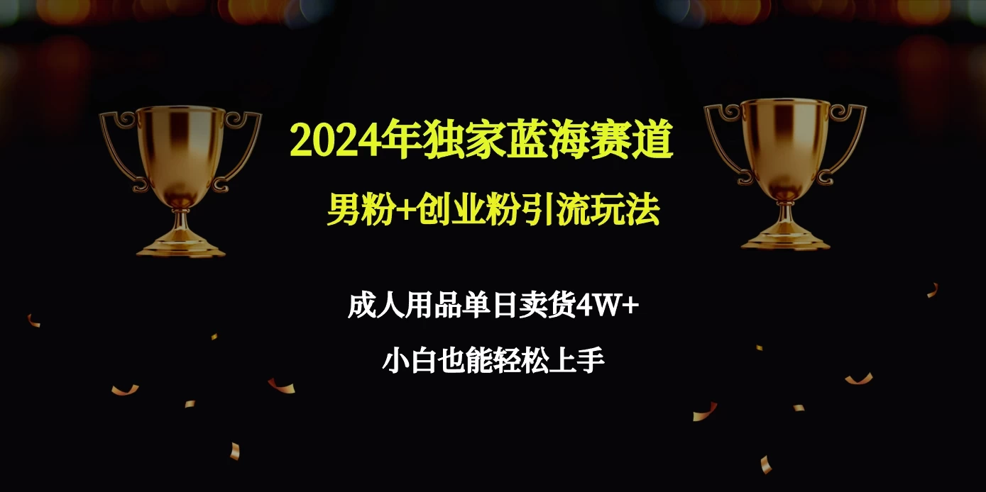 2024独家蓝海赛道，男粉＋创业粉引流玩法。-星网科技 Grdy.cn